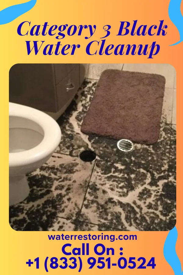 Category 3 Black Water Cleanup in Mountain Lakes, NJ