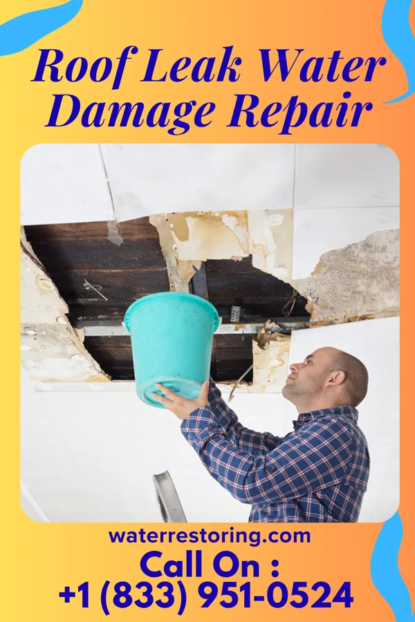 Roof Leak Water Damage Repair in Mountain Lakes, NJ