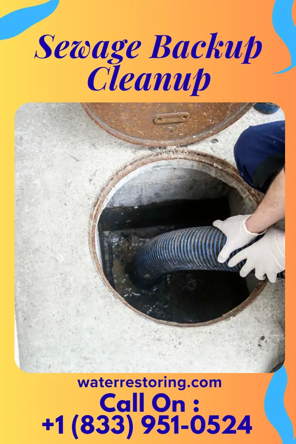 Sewage Backup Cleanup in Mountain Lakes, NJ