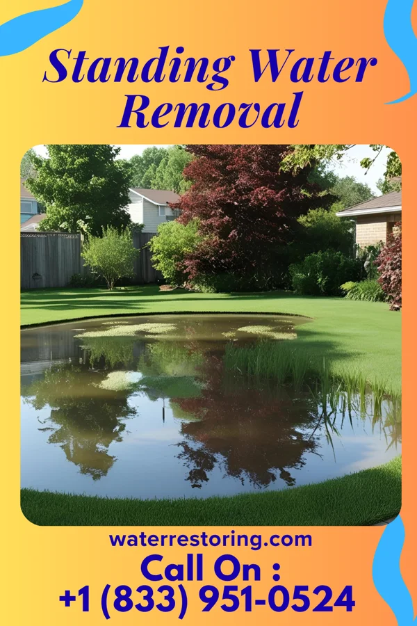 Standing Water Removal in Mountain Lakes, NJ